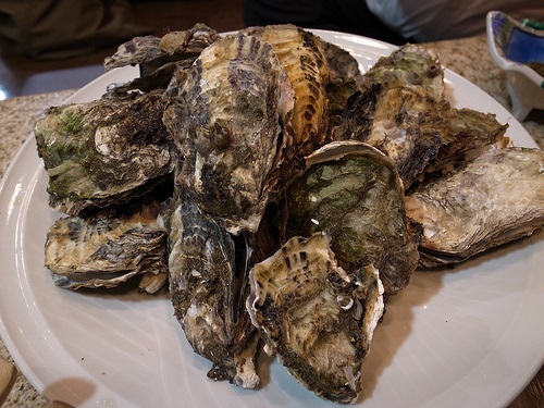 oysters dish